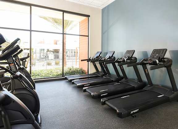 A row of treadmills are lined up in a gym.