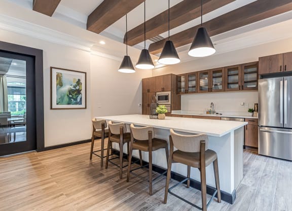 Community Kitchen at Alexander at Stonecrest Apartments, Lithonia Georgia
