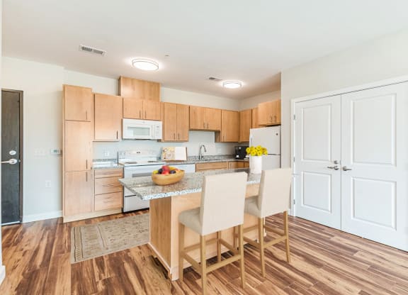 Kitchen at Briar Park 55+ Apartments, Georgia