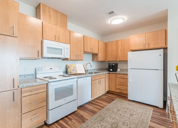 Fully Furnished Kitchen at Briar Park 55+ Apartments, Atlanta