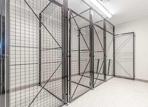 Storage at Briar Park 55+ Apartments, Georgia, 30331