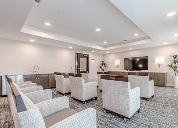 Theater at Briar Park 55+ Apartments, Atlanta, 30331