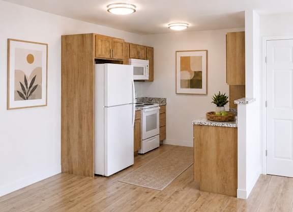Dominium_Cholla Ranch_Kitchen Rendering