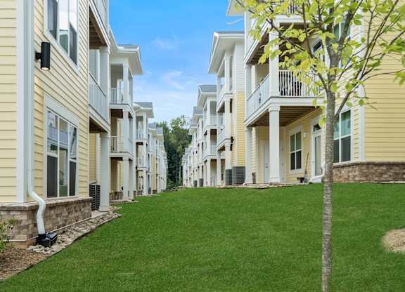 Greenery at Creekridge on the Park Apartments, Charlotte, North Carolina