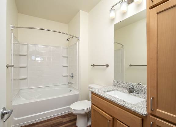 Bath at Estrella Springs at Canyon Trails Apartments, Arizona, 85338