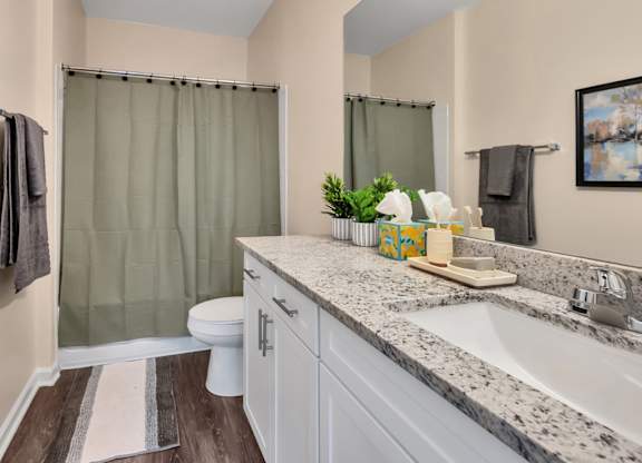 A bathroom with a toilet, sink, and shower curtain.