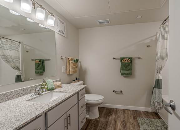 Luxurious Bathroom at Heron Ridge 62+ Apartments, Kissimmee, Florida