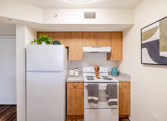 Dominium_Heron Ridge_Kitchen2_7_232