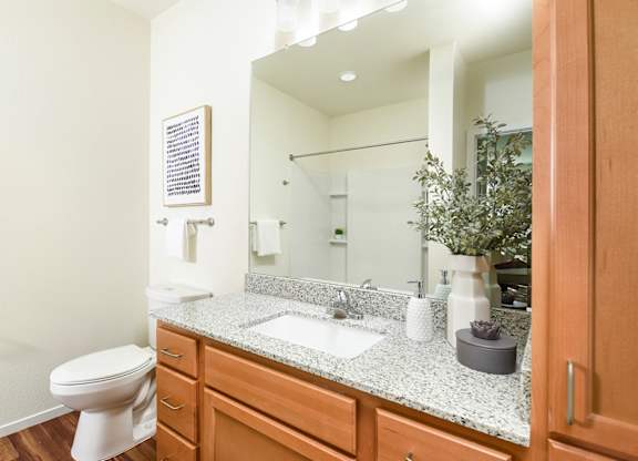 Dominium_Juniper Square_Bathroom 1.jpg