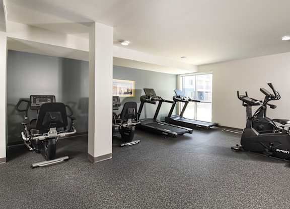A spacious gym with a row of treadmills and elliptical machines.