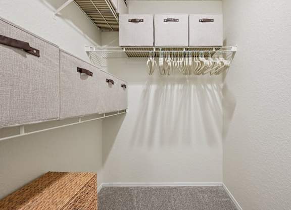 Spacious Closet at The Lucille Apartments, Florida, 34996