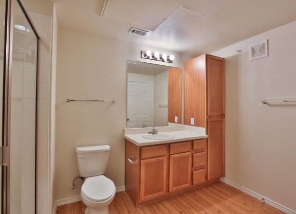 a bathroom with a sink toilet and a shower