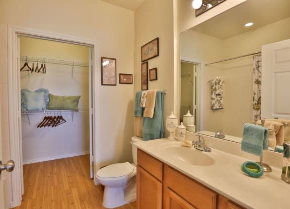 a bathroom with a sink and a toilet and a mirror
