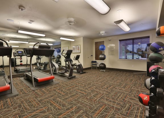 a gym with weights and cardio equipment in a room with a window at Cedars of Elk Drive 55+ Apartments, Texas