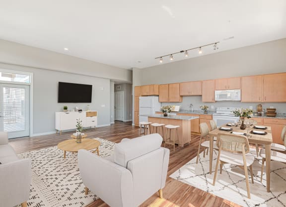 Living And Kitchen at The Paramount, Atlanta Georgia