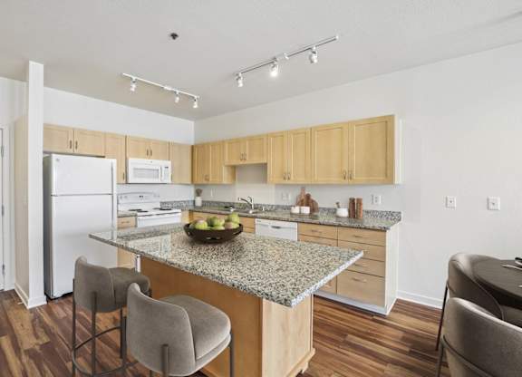 Dominium_Park Avenue West_Kitchen1