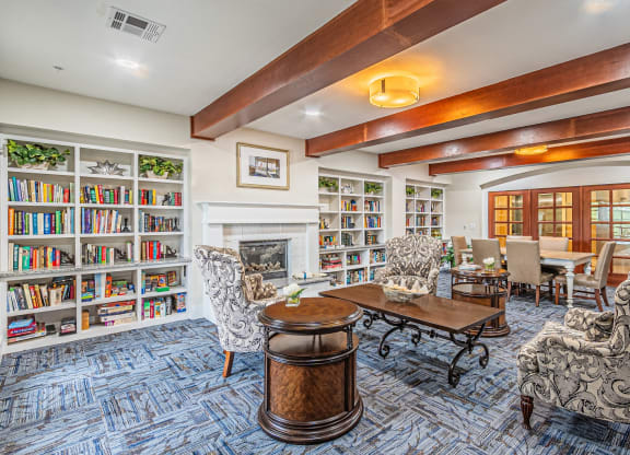 Library at Mariposa at Spring Hollow Saginaw 55+ Apartments, Saginaw, 76131  