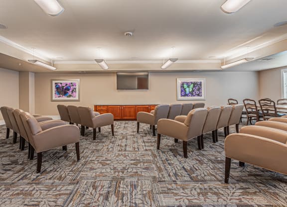 Theater Room at Mariposa at Spring Hollow Saginaw 55+ Apartments, Saginaw, TX