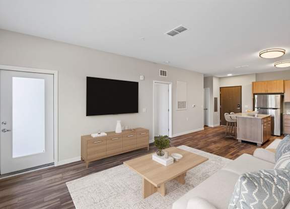 Dominium_Stillwaters_Staged LivingRoom 2.jpg