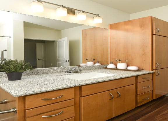 Dominium_Suncrest Vista_Bathroom 1 Rendering.jpg