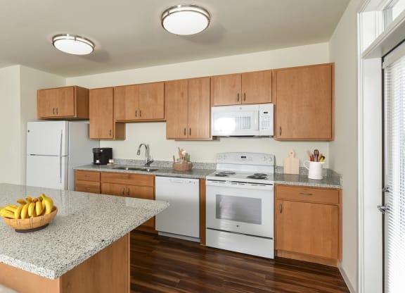 Dominium_Suncrest Vista_Kitchen Rendering.jpg