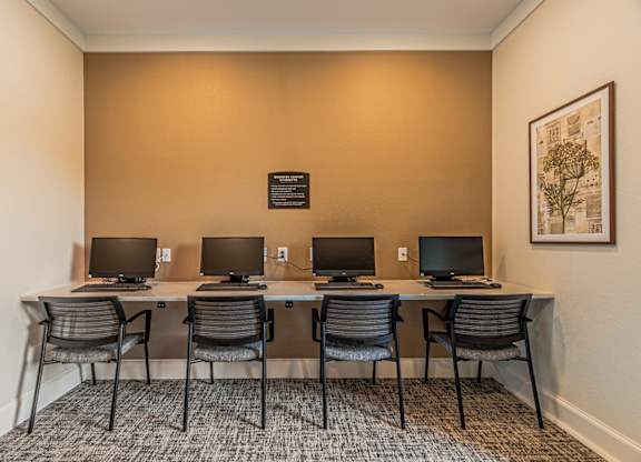 Business Center at The Cesera 55+ Apartments, Garland