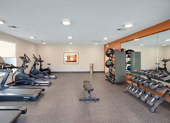 A gym with treadmills, exercise bikes, and weights.