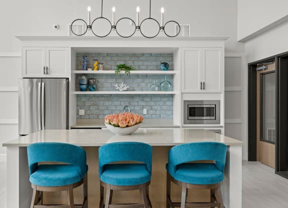 community clubhouse kitchen at Osprey Park 62+ Apartments, Kissimmee, FL, 34758