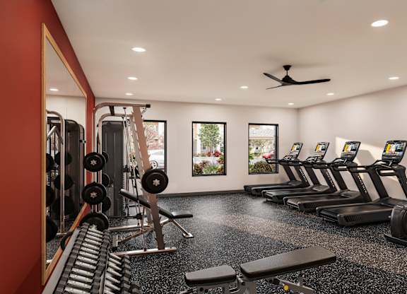 A gym with treadmills, weights, and a fan.