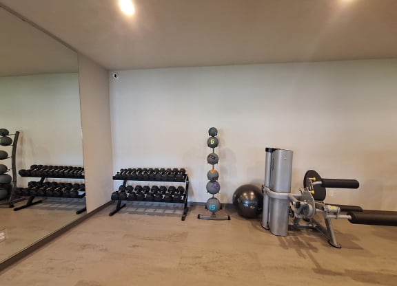 a room with a bunch of dumbbells and other equipment in it