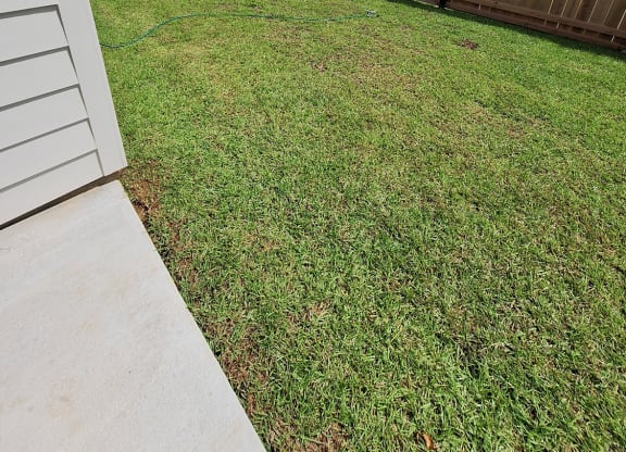 a backyard with a fence and a lawn and a shed with solar panels