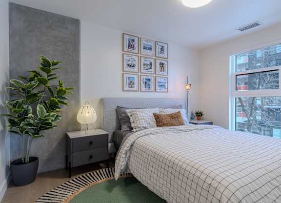 A bedroom with a bed, nightstand, lamp, and a plant.