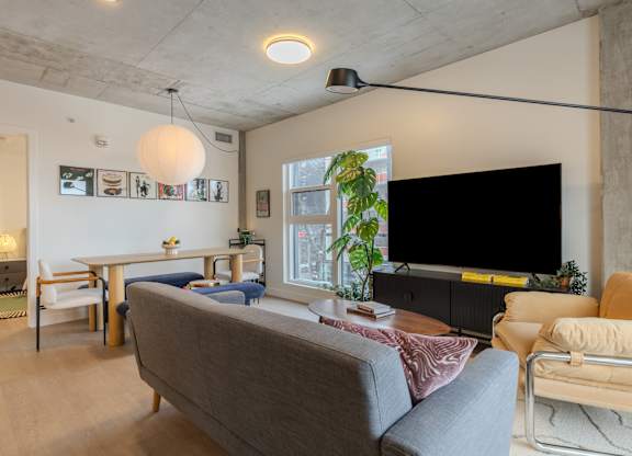 A living room with a grey couch and a television.