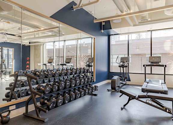 A gym with a row of dumbbells and a bench.