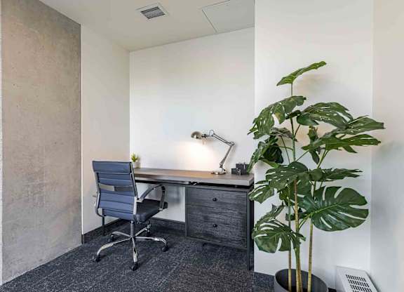 A room with a desk, chair, and a plant.