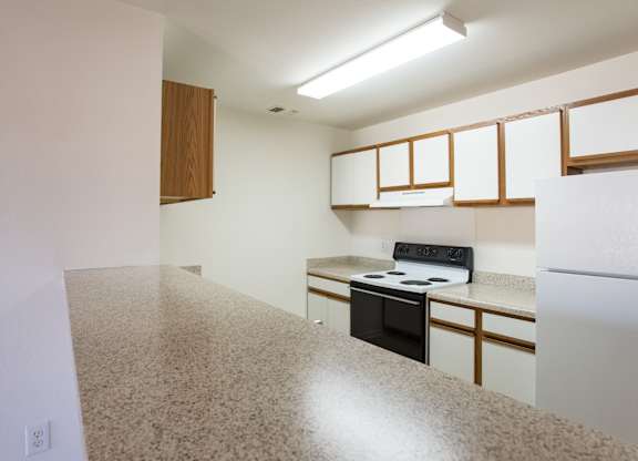 A kitchen with a stove and a refrigerator.