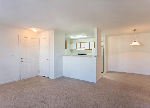 A white room with a carpeted floor and a small kitchenette in the background.