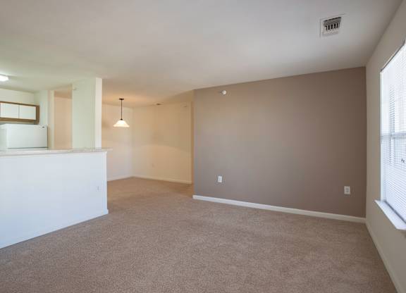 A large empty room with a carpeted floor and a window on the right side.