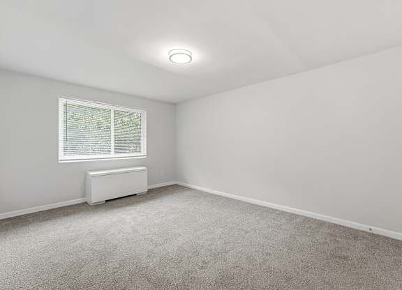 A room with a window and a radiator on the floor.