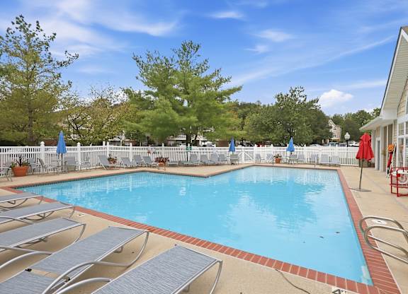 A large outdoor swimming pool surrounded by sun loungers and trees.