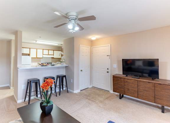 A living room with a bar area and a television.