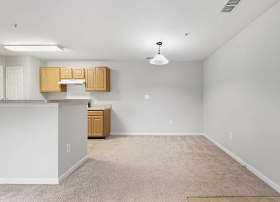 A kitchen area with a white counter and wooden cabinets.