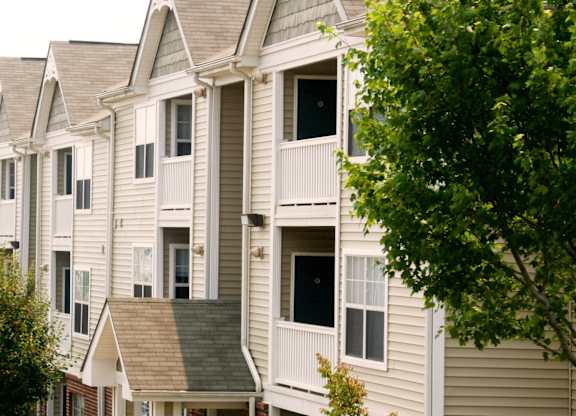 A row of houses with a tree in the foreground.