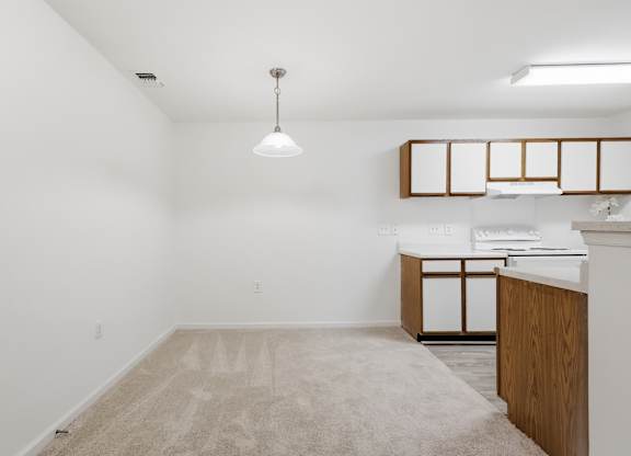 A room with a carpet on the floor and a wooden cabinet.