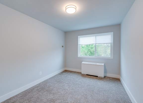 A white room with a window and a carpeted floor.