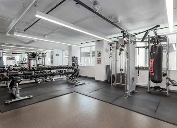 A gym with a punching bag and weightlifting equipment at Clayton on the Park Apartments, Clayton 63105