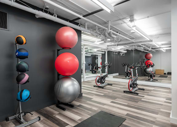 A gym with a variety of exercise balls and equipment at Clayton on the Park Apartments, Clayton