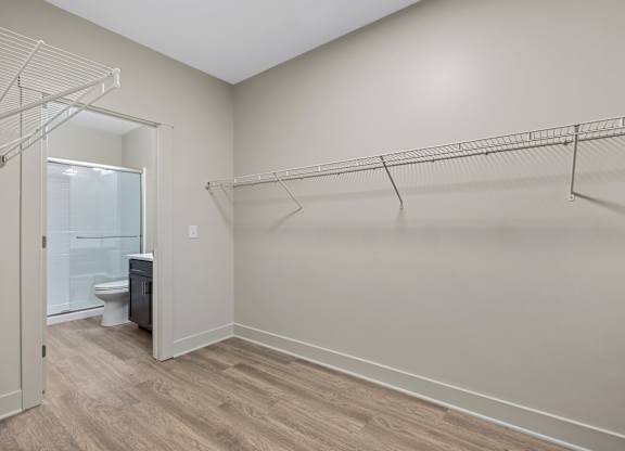A room with a walk-in closet and a toilet in the corner.