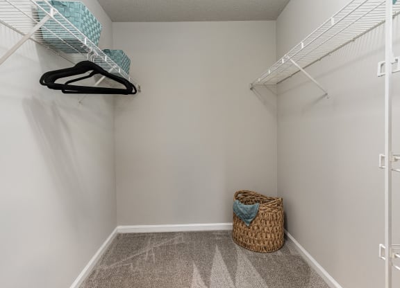a walk in closet with white walls and shelves and a basket in the corner at Litchfield Oaks Apartments, South Carolina