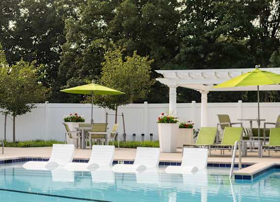 A pool with chairs and umbrellas is surrounded by trees.